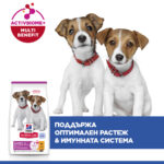 Hill's Science Plan Small & Mini Puppy Chicken – Суха храна с пилешко за кученца от дребни и мини породи (до 10 кг) от отбиване до 1 година, подходяща за бременни и кърмещи кучета - Image 2