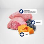 N&D Pumpkin Lamb & Blueberry Puppy MINI 0.800 кг – суха храна без зърнени култури за подрастващи кученца от дребни породи с агнешко, тиква и боровинки - Image 2