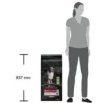 Purina Pro Plan Medium Adult Sensitive Digestion – Суха храна за кучета от средни породи с чувствително храносмилане, с високо съдържание на агнешко 14 кг - Image 3