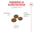 Royal Canin Fussy – Суха храна за котки с капризен апетит, над 1 година - Image 5
