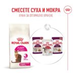 Royal Canin Fussy – Суха храна за котки с капризен апетит, над 1 година - Image 9