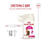 Royal Canin Fussy – Суха храна за котки с капризен апетит, над 1 година - Image 7