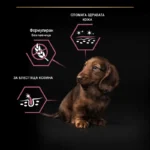 Purina Pro Plan Small & Mini Puppy Sensitive Skin – Суха храна за кученца от дребни и малки породи с чувствителна кожа, с високо съдържание на сьомга, 3 кг - Image 3