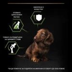 Purina Pro Plan Small & Mini Puppy Healthy Start – Суха храна за кученца от дребни и малки породи, с високо съдържание на пиле - Image 2