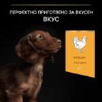 Purina Pro Plan Small & Mini Puppy Healthy Start – Суха храна за кученца от дребни и малки породи, с високо съдържание на пиле - Image 3