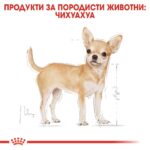 ROYAL CANIN Adult Chihuahua - суха хрнан за за кучета Чихуахуа над 8 месеца - Image 2