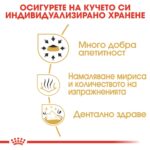 ROYAL CANIN Adult Chihuahua - суха хрнан за за кучета Чихуахуа над 8 месеца - Image 3