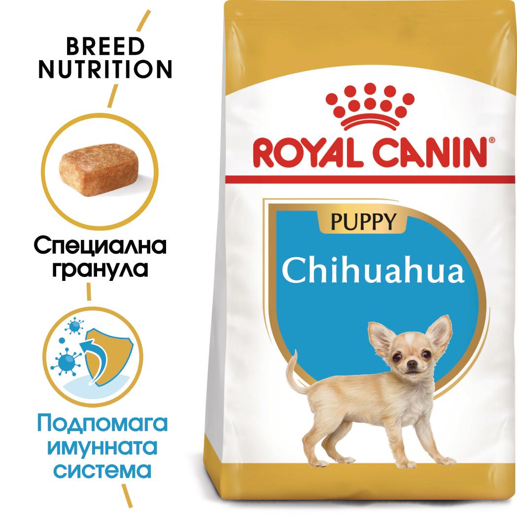 RC-BHN-ChihuahuaJunior-CV-1-bg_BG.pdf ROYAL CANIN Puppy Chihuahua - храна за подрастващи кученца Чихуахуа до 8 месеца - Image 1