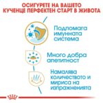 ROYAL CANIN Puppy Chihuahua - храна за подрастващи кученца Чихуахуа до 8 месеца - Image 3
