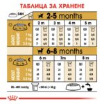 ROYAL CANIN Puppy Chihuahua - храна за подрастващи кученца Чихуахуа до 8 месеца - Image 5