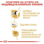 Royal Canin French Bulldog Adult-  храна за кучета от породта френски булдог в зряла над 12 -месеца - Image 3