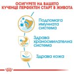 Royal Canin French Bulldog Puppy - Суха храна за кученца порода френски булдог до 12-месеца - Image 4