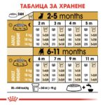 Royal Canin French Bulldog Puppy - Суха храна за кученца порода френски булдог до 12-месеца - Image 6