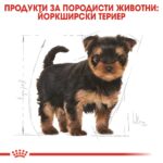 Royal Canin Yorkshire Terrier Puppy - храна за подрастващи кученца йоркширски териер до 10-месеца - Image 2