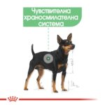 Royal Canin Digestive Care - Мокра храна за кучета с чувствително храносмилане, пастет 85 г - Image 3