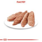 Royal Canin Digestive Care - Мокра храна за кучета с чувствително храносмилане, пастет 85 г - Image 2