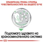 Royal Canin Digestive Care - Мокра храна за кучета с чувствително храносмилане, пастет 85 г - Image 4