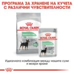 Royal Canin Digestive Care - Мокра храна за кучета с чувствително храносмилане, пастет 85 г - Image 6
