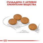 Royal Canin Mini Dermacomfort – Суха храна за дребни кучета с чувствителна кожа, над 10 месеца - Image 4