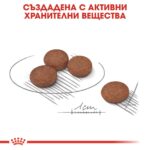 ROYAL CANIN Mini Digestive - суха храна за дребни кучета с чувствително храносмилане над 10 месеца - Image 4