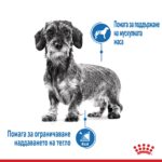 Royal Canin Mini Light Weight Care – Суха храна за дребни кучета, склонни към напълняване, над 10 месеца - Image 2