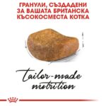 Royal Canin British Shorthair Adult - Суха храна за британска късокосместа котка над 12 месеца - Image 4