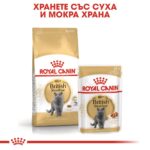 Royal Canin British Shorthair Adult - Суха храна за британска късокосместа котка над 12 месеца - Image 5