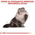 Royal Canin Persian Adult – Суха храна за персийски котки над 12 месеца - Image 2