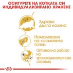 Royal Canin Persian Adult – Суха храна за персийски котки над 12 месеца - Image 3