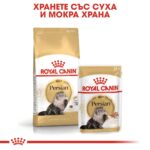 Royal Canin Persian Adult – Суха храна за персийски котки над 12 месеца - Image 5
