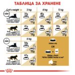 Royal Canin Persian Adult – Суха храна за персийски котки над 12 месеца - Image 6