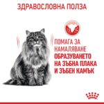Royal Canin Dental Care – Суха храна за котки за поддържане здравето на зъбите и венците, в зряла възраст - Image 2