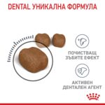 Royal Canin Dental Care – Суха храна за котки за поддържане здравето на зъбите и венците, в зряла възраст - Image 4