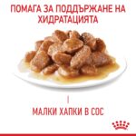 Royal Canin Digestive Care – Мокра храна за котки с чувствително храносмилане, в зряла възраст, с хапки в сос - Image 3