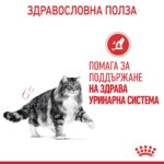 Royal Canin Urinary Care – Суха храна за котки за поддържане на здрав уринарен тракт, в зряла възраст - Image 2