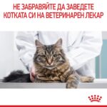 Royal Canin Urinary Care – Суха храна за котки за поддържане на здрав уринарен тракт, в зряла възраст - Image 7
