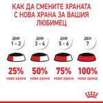 Royal Canin Urinary Care – Мокра храна за котки за поддържане на здрав уринарен тракт, в зряла възраст, хапки в сос - Image 7