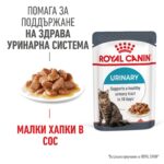Royal Canin Urinary Care – Мокра храна за котки за поддържане на здрав уринарен тракт, в зряла възраст, хапки в сос - Image 2