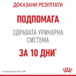 Royal Canin Urinary Care – Мокра храна за котки за поддържане на здрав уринарен тракт, в зряла възраст, хапки в сос - Image 4