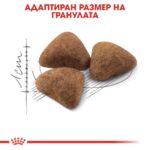 Royal Canin Indoor 27 – Суха храна за котки, живеещи на закрито, на възраст от 1 до 7 години - Image 4