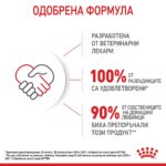 Royal Canin Kitten – Суха храна за малки котенца до 12 месеца - Image 5