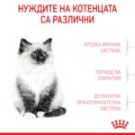 Royal Canin Kitten – Суха храна за малки котенца до 12 месеца - Image 2