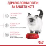 Royal Canin Kitten – Суха храна за малки котенца до 12 месеца - Image 3