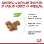 Royal Canin Kitten – Суха храна за малки котенца до 12 месеца - Image 4