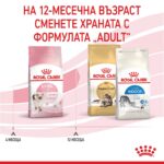 Royal Canin Kitten – Суха храна за малки котенца до 12 месеца - Image 6