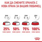 Royal Canin Kitten – Суха храна за малки котенца до 12 месеца - Image 7