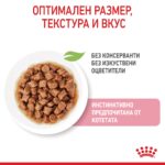 Royal Canin Kitten – Мокра храна с парченца в сос за котенца до 12 месеца - Image 3