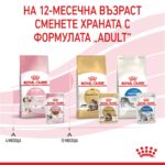 Royal Canin Kitten – Мокра храна с парченца в сос за котенца до 12 месеца - Image 5