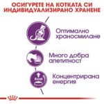 Royal Canin Sensible 33 – Суха храна за котки с чувствително храносмилане, на възраст от 1 до 7 години - Image 2
