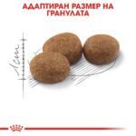 Royal Canin Sterilised 37 – Суха храна за кастрирани котки, на възраст от 1 до 7 години - Image 4